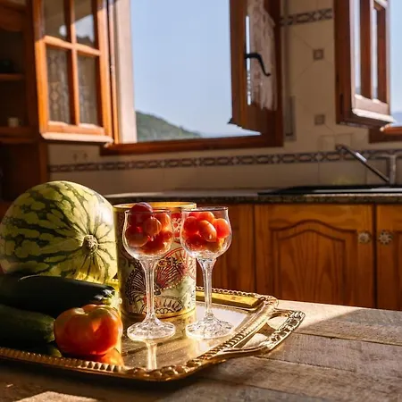 Cozy Duplex I Panoramic Views I Mountain & Zen *